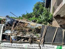 Best Same-Day Junk Removal Services  in San Rafael, NM