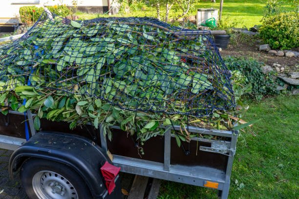 Reliable San Rafael, NM Junk Removal Services Solutions